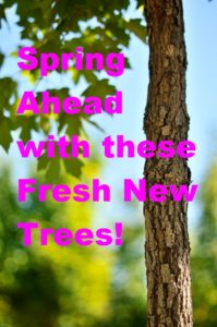 New Trees for Spring 2016