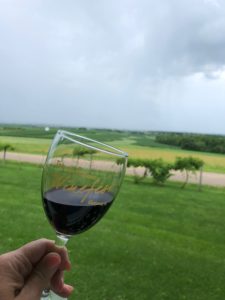 Gorgeous views at the winery