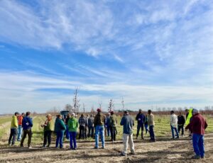 Northeast Municipal Foresters chapter of Illinois Arborist Association gather at Spring Grove Nursery to learn about tree growing and production. 