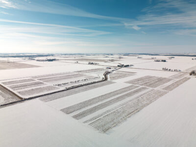 Winter Wonderland