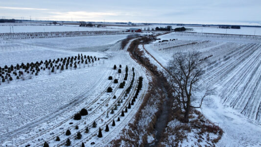 Winter Wonderland