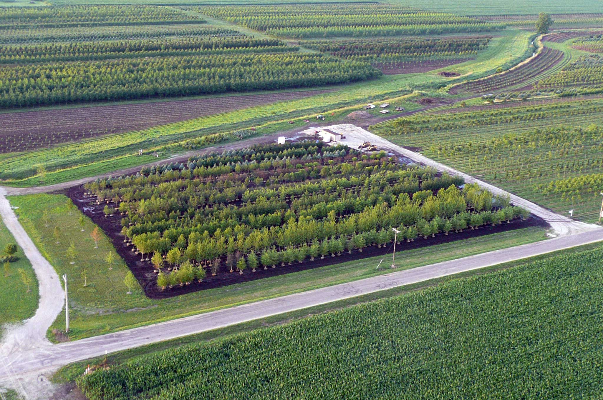 Nursery Aerial Pictures - Spring Grove Nursery