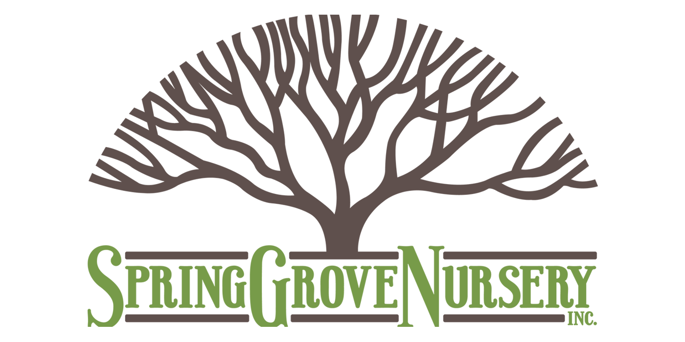 Spring Grove Nursery