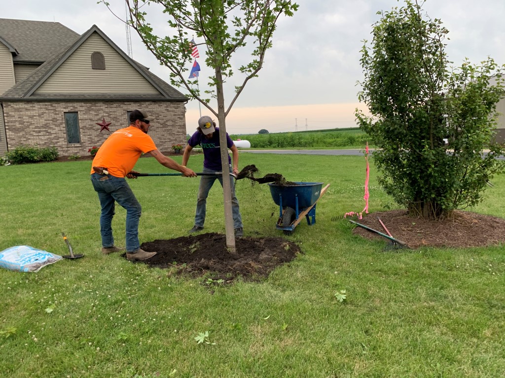 Planting Peace Growing Hope 2020 UPDATE!!! - Spring Grove Nursery