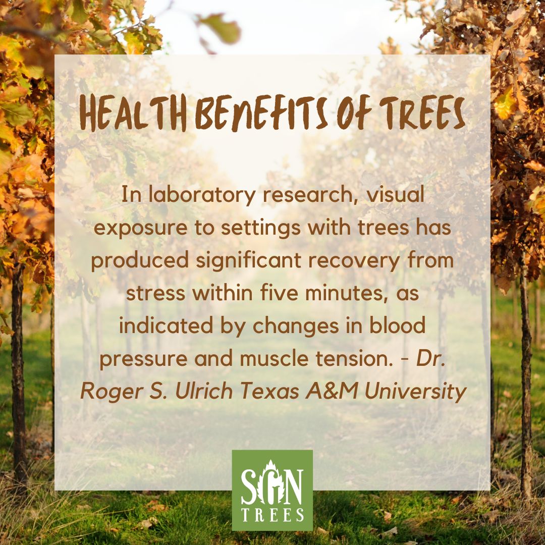 The Benefits of Trees