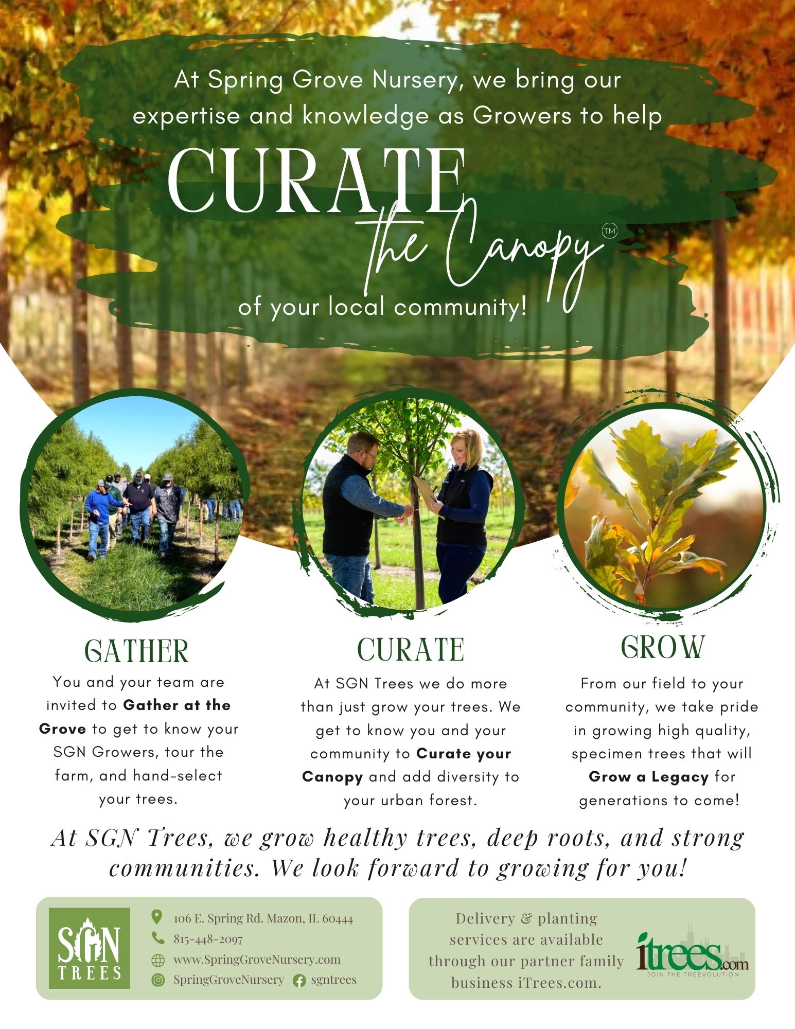 Curate the Canopy™
