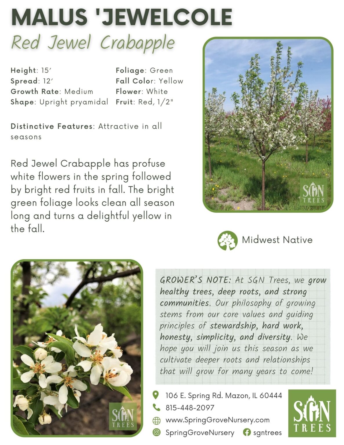 Malus 'Jewelcole' Spring Grove Nursery