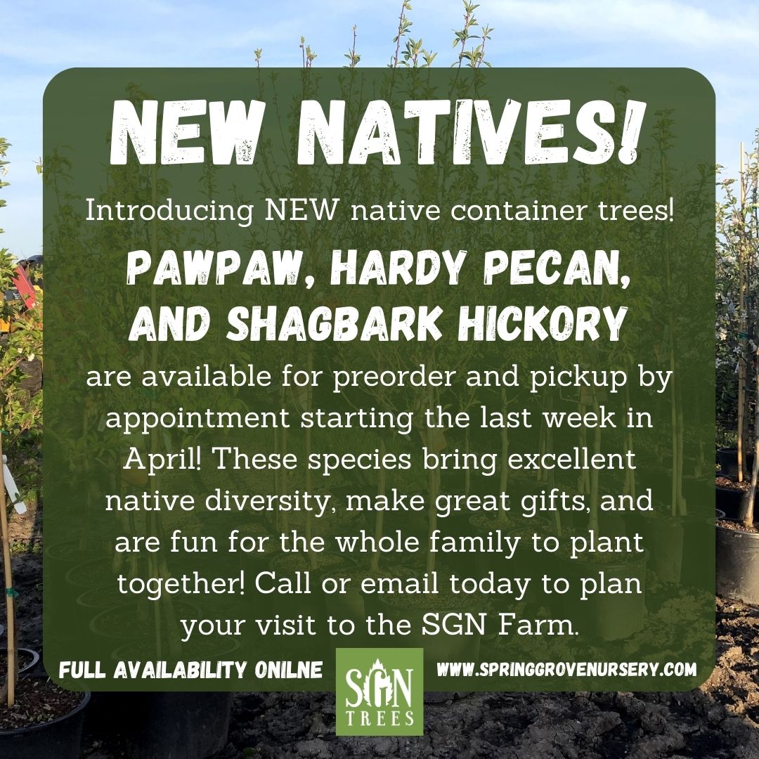 New Natives & Fruit Trees at SGN Trees!