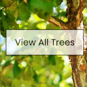 View All Trees