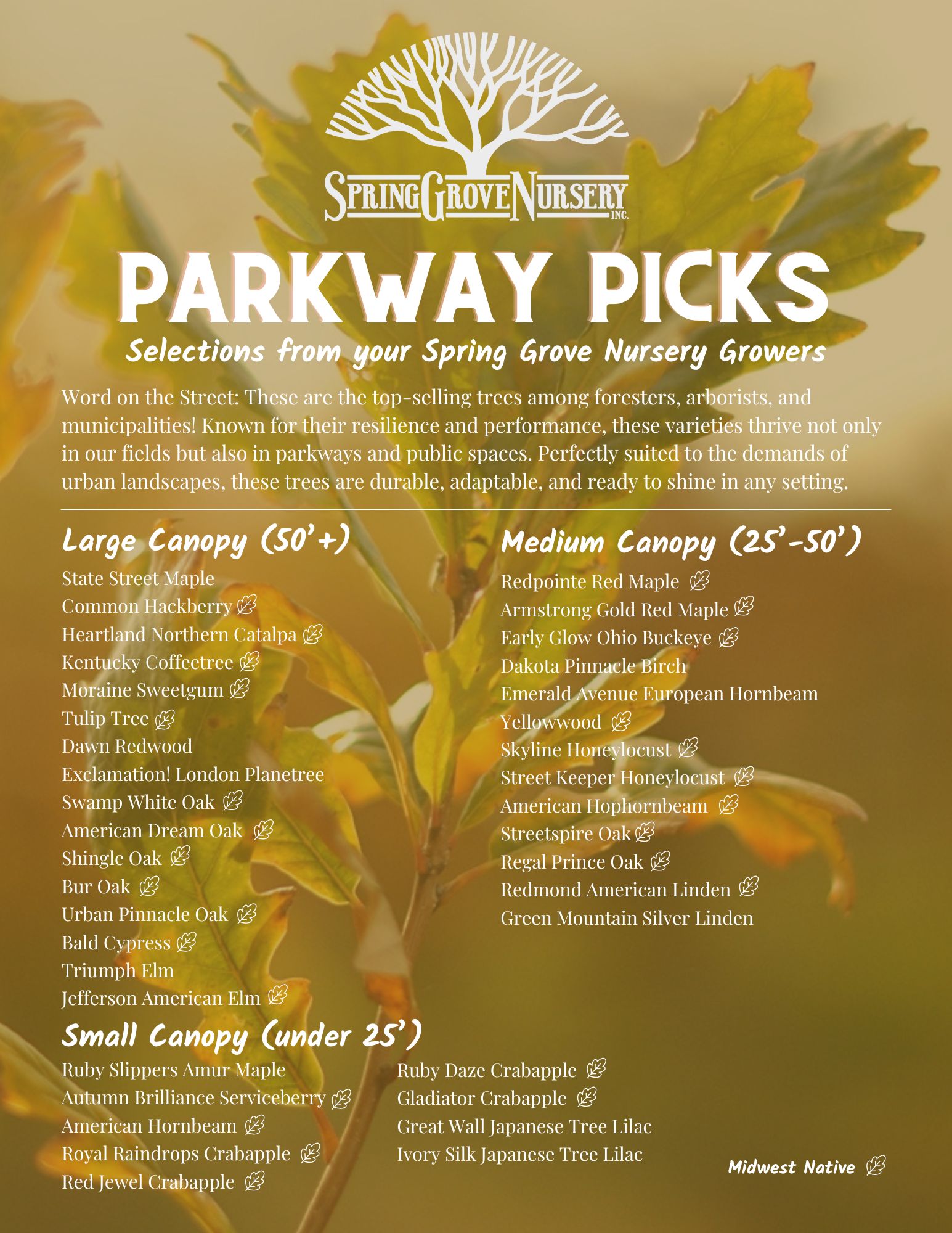 SGN Parkway Picks