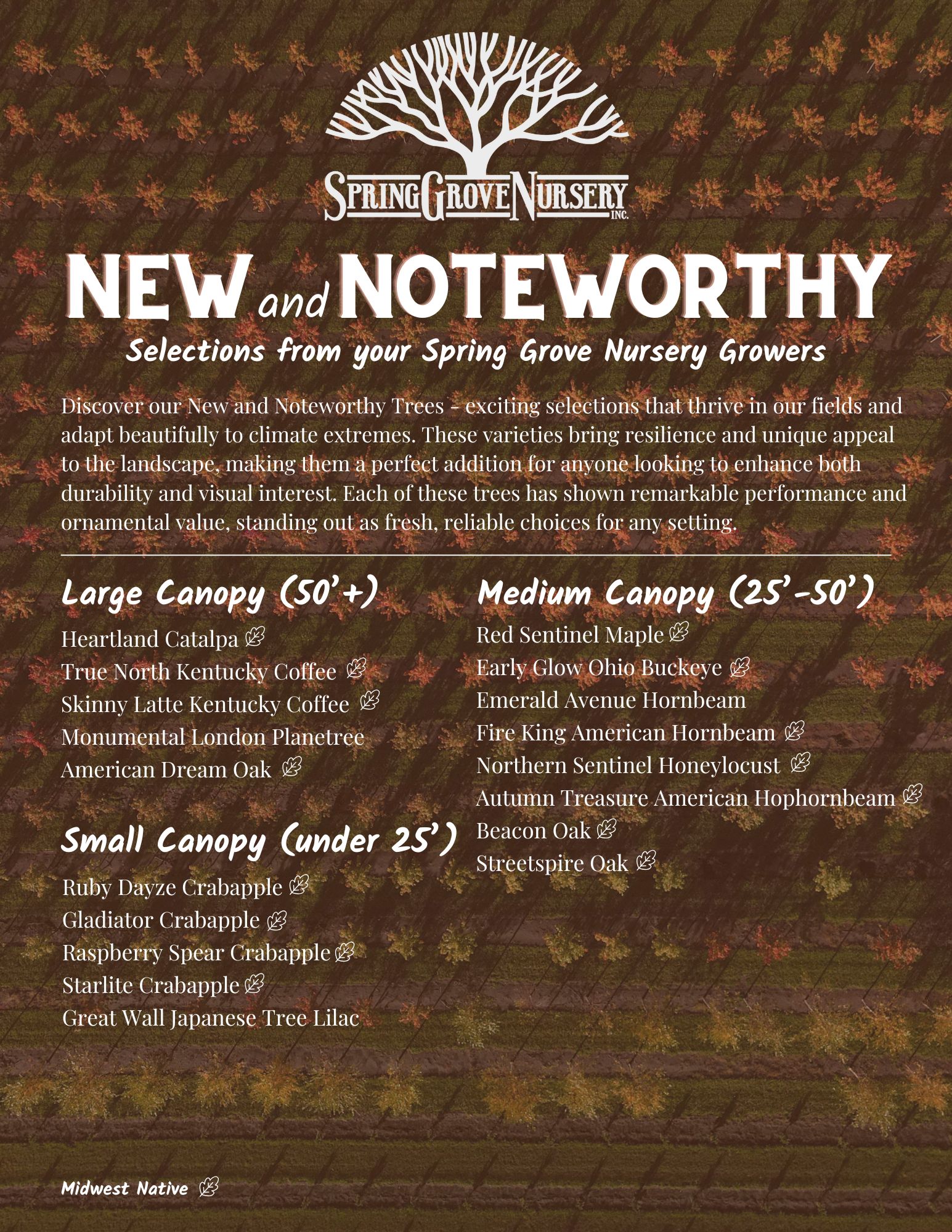 SGN New & Noteworthy