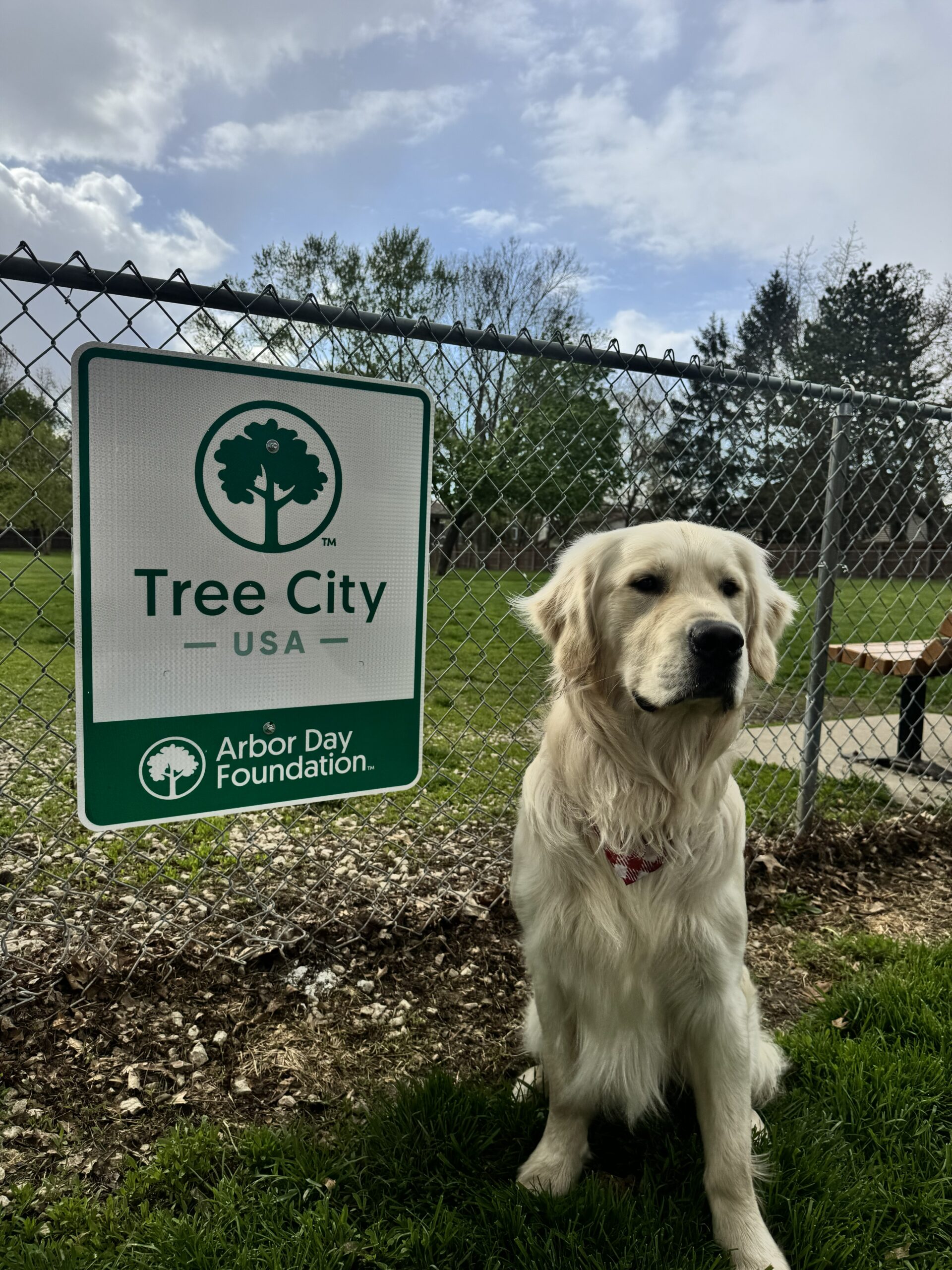 Arbor Day 2026 Partner – City of Morris