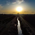 Spring Grove Nursery Sunset