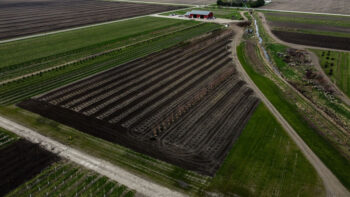 SGN Sales Yard