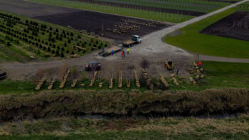 SGN Tree Loading