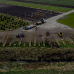 SGN Tree Loading