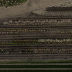 SGN Sales Yard