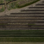SGN Sales Yard