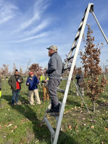 Northeast Municipal Foresters chapter of Illinois Arborist Association gather at Spring Grove Nursery to learn about tree growing and production.