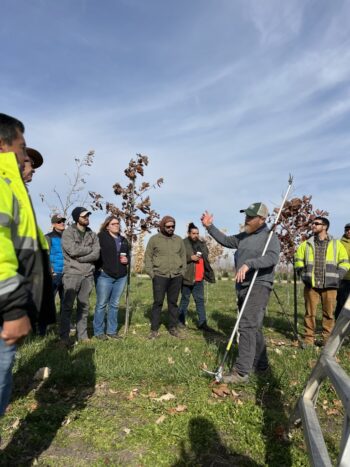 Northeast Municipal Foresters chapter of Illinois Arborist Association gather at Spring Grove Nursery to learn about tree growing and production.