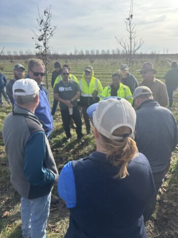 Northeast Municipal Foresters chapter of Illinois Arborist Association gather at Spring Grove Nursery to learn about tree growing and production.