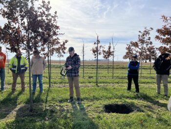 Northeast Municipal Foresters chapter of Illinois Arborist Association gather at Spring Grove Nursery to learn about tree growing and production.