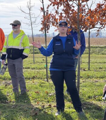 Northeast Municipal Foresters chapter of Illinois Arborist Association gather at Spring Grove Nursery to learn about tree growing and production.