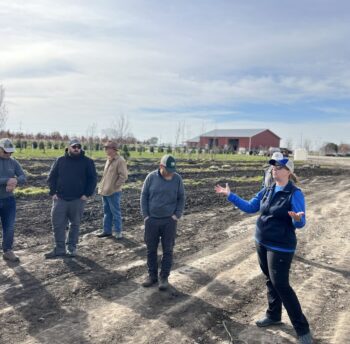 Northeast Municipal Foresters chapter of Illinois Arborist Association gather at Spring Grove Nursery to learn about tree growing and production.