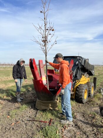 Northeast Municipal Foresters chapter of Illinois Arborist Association gather at Spring Grove Nursery to learn about tree growing and production.