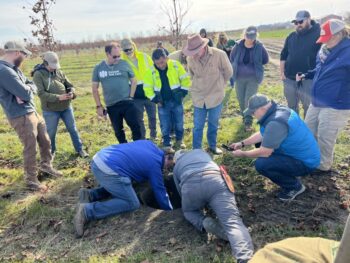 Northeast Municipal Foresters chapter of Illinois Arborist Association gather at Spring Grove Nursery to learn about tree growing and production.
