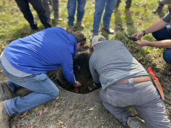 Northeast Municipal Foresters chapter of Illinois Arborist Association gather at Spring Grove Nursery to learn about tree growing and production.