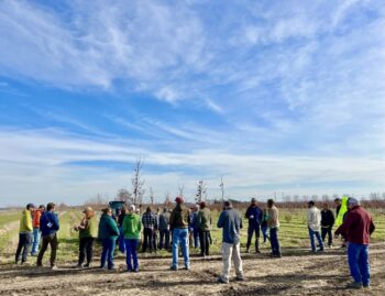 Northeast Municipal Foresters chapter of Illinois Arborist Association gather at Spring Grove Nursery to learn about tree growing and production.