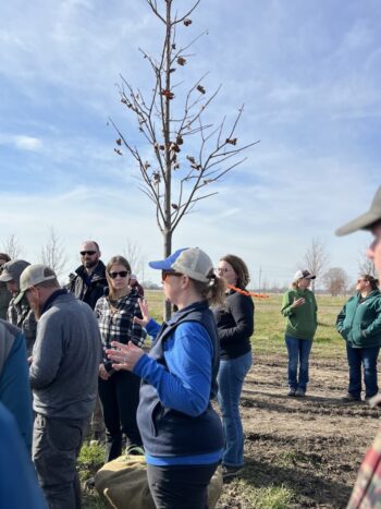 Northeast Municipal Foresters chapter of Illinois Arborist Association gather at Spring Grove Nursery to learn about tree growing and production.