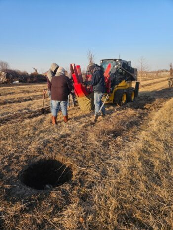 Fall harvest in full swing