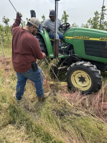 Our SGN Team at work crafting our trees