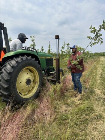 Our SGN Team at work crafting our trees