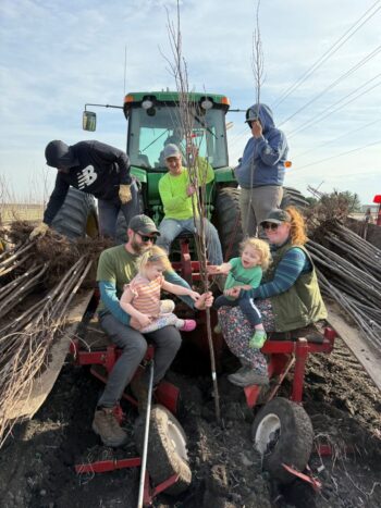 Fern and Benji's Trees