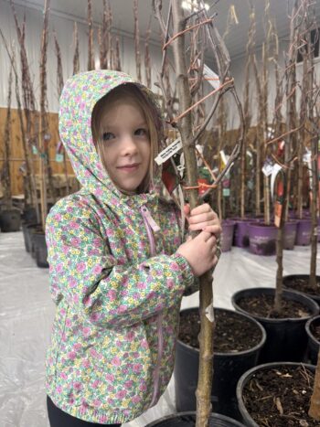 Fern likes the Apple Trees!