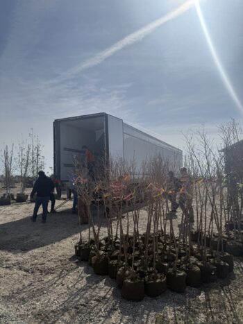 Unloading new liners to plant