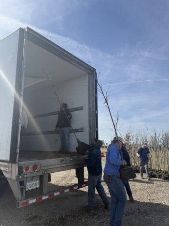 Unloading new liners to plant