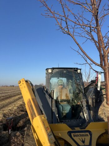 Spring harvest underway!