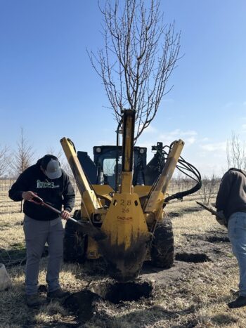 Spring harvest underway!