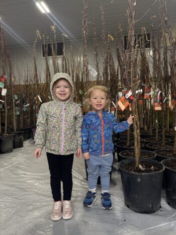 SGN Tree Crew!