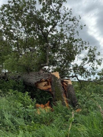 June 2026 Summer Storms