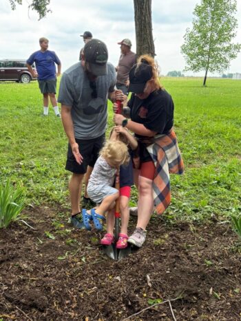 Planting Sam's Redbud