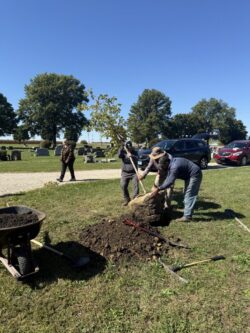 Legacy Tree for Bob Walker