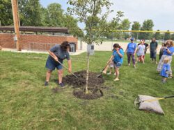 CommuniTree Planting Mazon 150