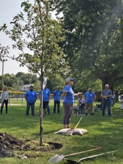 CommuniTree Planting Mazon 150