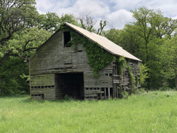 Harford Farms Crib