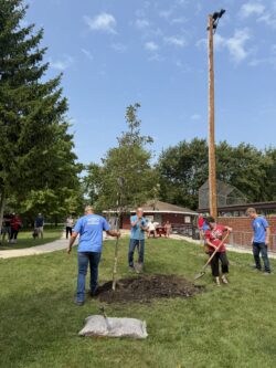 CommuniTree Planting Mazon 150